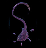 Spine Crawler Zerg de StarCraft II Spine Crawler Zerg de StarCraft II